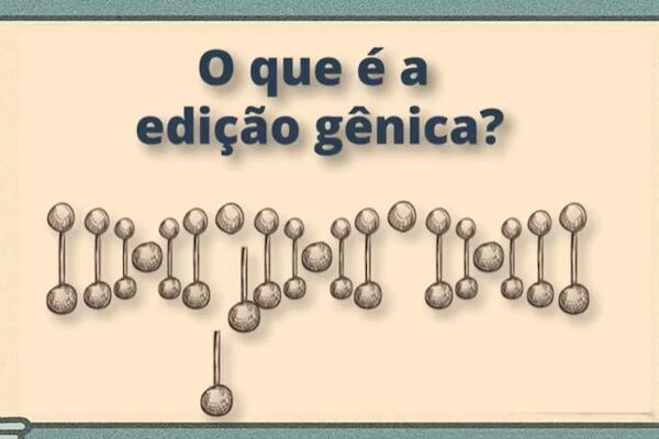 Edição genética e organismos transgênicos: a mesma coisa, mas com mais riscos
