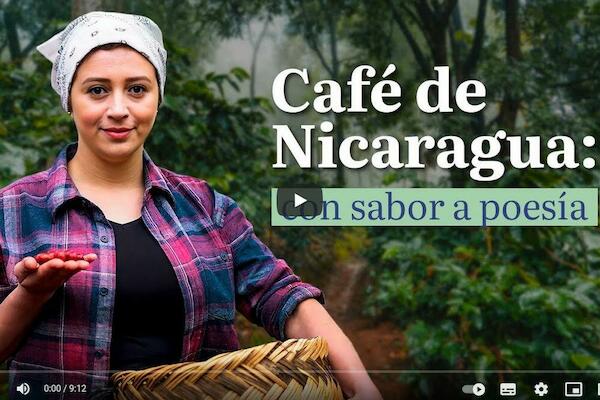 El café de Nicaragua, entre los mejores del mundo 