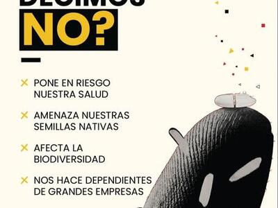En el  Día Mundial del Arroz decimos NO al arroz editado
