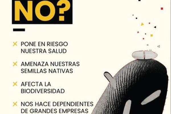 En el  Día Mundial del Arroz decimos NO al arroz editado
