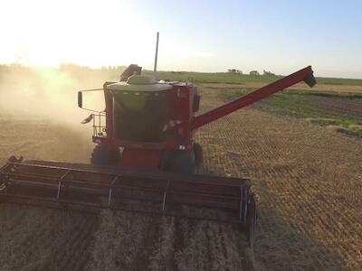 Estos son los efectos en la salud de la fumigación con glifosato
