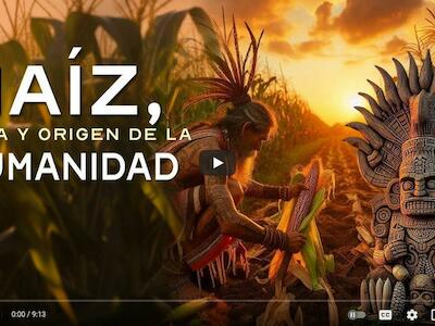 Historia del maíz: Alma y origen de la humanidad 