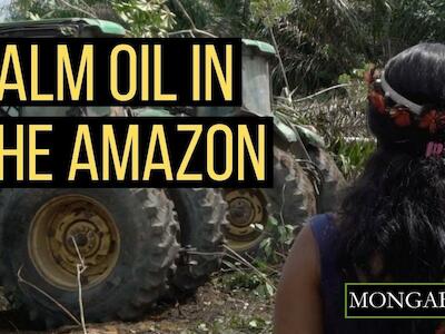 Las empresas de aceite de palma vulneran los derechos de las comunidades indígenas en Brasil