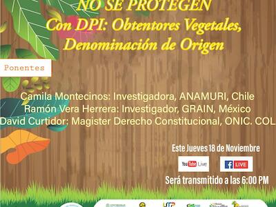 Los saberes ancestrales no se protegen con Derechos de Propiedad Intelectual