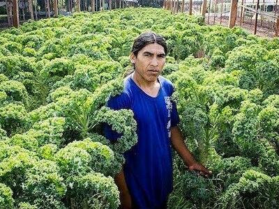 Manos que alimentan: Reimundo