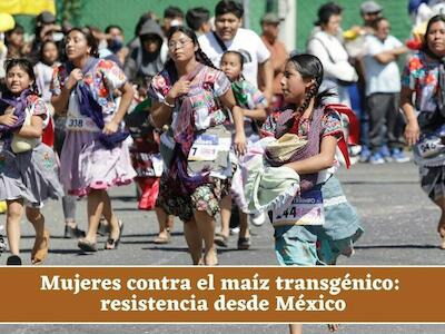 Mujeres contra el maíz transgénico: resistencia desde México