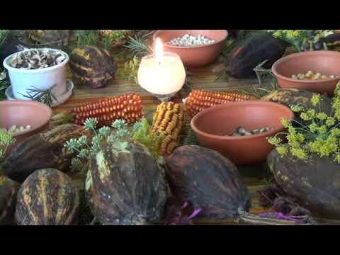 Mujeres en defensa de las semillas nativas y criollas | Biodiversidad ...