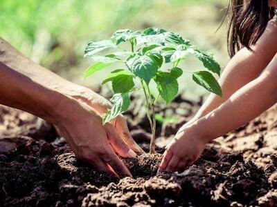 ¿Por qué la agroecología es justicia social? 