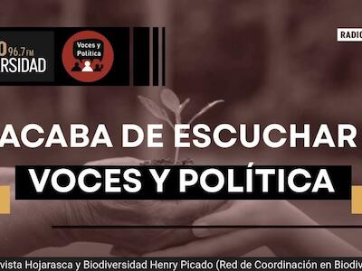 Programa Homenaje a Silvia Rodríguez-Cervantes en "Voces y Política"