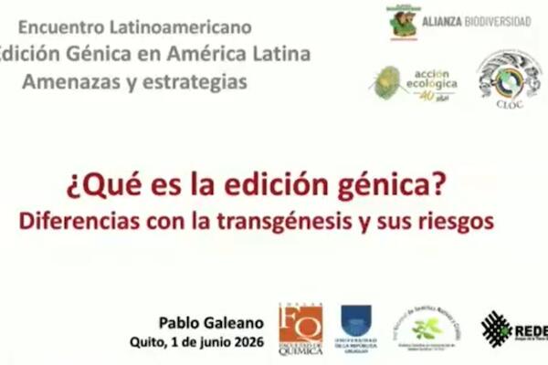 ¿Qué es la Edición Génica? - Pablo Galeano