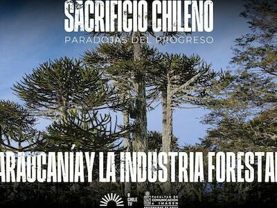 Sacrificio Chileno - Araucanía y La Industría Forestal