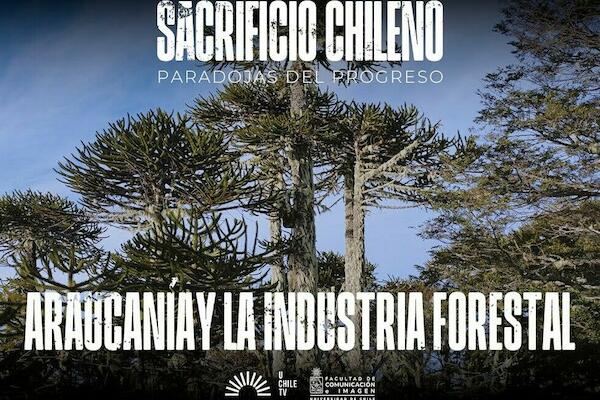 Sacrificio Chileno - Araucanía y La Industría Forestal