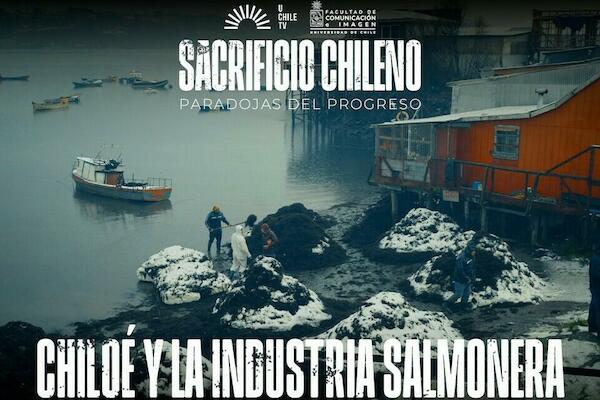 Sacrificio Chileno - Chiloé y La Industria Salmonera