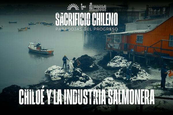 Sacrificio Chileno - Chiloé y La Industria Salmonera