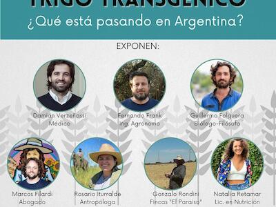 SANAR - ¿Qué está pasando con el trigo transgénico en Argentina?