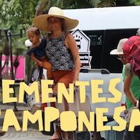 Sementes Camponesas