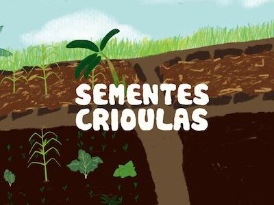 Sementes Crioulas