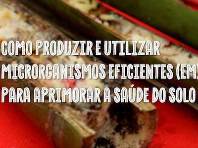 Série de videoaulas “Saberes da Agrofloresta” ensina como produzir Microrganismos Eficientes (EM) em casa