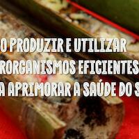 Série de videoaulas “Saberes da Agrofloresta” ensina como produzir Microrganismos Eficientes (EM) em casa