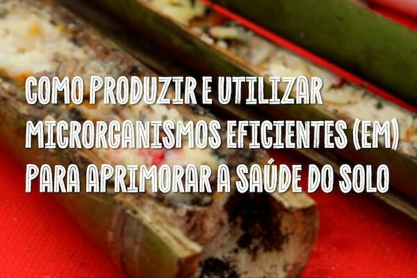 Série de videoaulas “Saberes da Agrofloresta” ensina como produzir Microrganismos Eficientes (EM) em casa