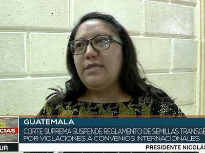 Suspenden reglamento de semillas transgénicas en Guatemala