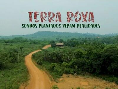 Terra Roxa: Sonhos Plantados Viram Realidades