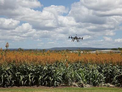 Uberização do campo: Amazon e Microsoft avançam sobre mercado de produção agrícola