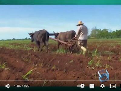 Uso y tenencia de la tierra en Cuba