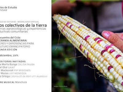 Usos colectivos de la tierra: colonias agroecológicas y experiencias productivas comunitarias