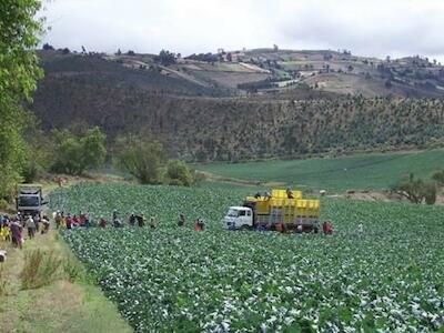 Foto del sitio: América Latina en Movimiento