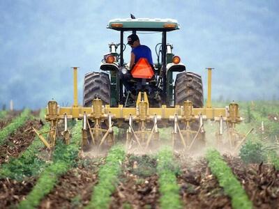 Intoxicações aconteceram mais em lavouras de soja, fumo e milho. Foto: Can Europe/Flickr