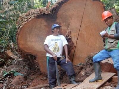 168 defensores del medio ambiente asesinados en un año