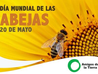 20 de Mayo - Día Mundial de las Abejas