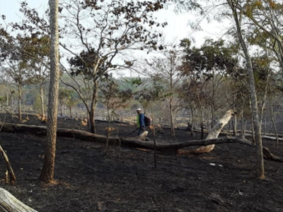 27 territorios indígenas y 20 áreas protegidas afectados por el fuego