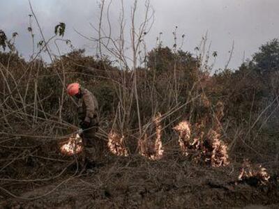90% dos focos de incêndio estão na Amazônia e no Cerrado