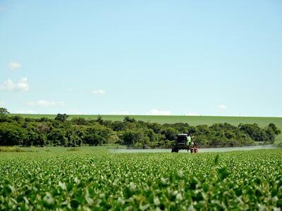 A espiral dos agrotóxicos: saídas por dentro da democracia e por fora do agronegócio