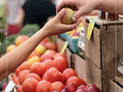 A importância dos polinizadores na produção dos alimentos que consumimos