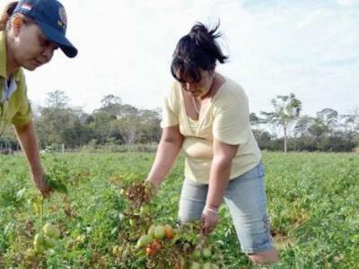 Mujeres del campo. Foto: Fernando Franceschelli