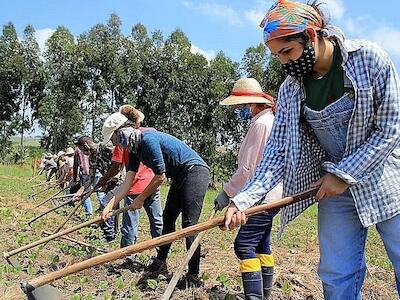 Agricultura camponesa e cooperativismo como protagonistas da defesa do meio ambiente