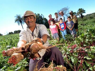 Agricultura familiar, crucial no combate à fome