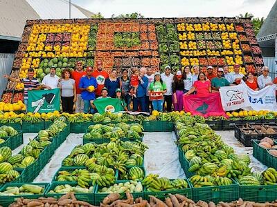 Agricultura familiar: programas aumentam renda de produtores em até 106%