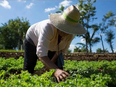 Agroecología: una visión que crece y pronto tendrá su propia Dirección Nacional