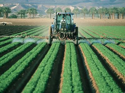 Agroindustria, responsable de más de 50 por ciento de la contaminación mundial