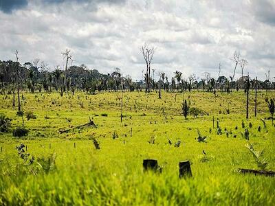 Alertan sobre amenaza a soberanía venta de tierras en Brasil