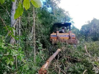 Alertan sobre nuevo ecocidio