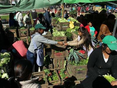 Alimentos de calidad y a buen precio 