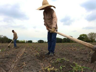 Alistan decreto que agilizará proceso en la reforma agraria