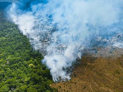 De enero a octubre, la Amazonía brasileña perdió un área equivalente a seis veces la ciudad de São Paulo. Foto: Divulgação/Imazon