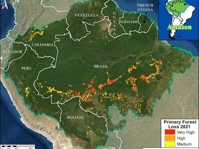 Mapa Base. Hotspots de Deforestación del 2021 en la Amazonía (al 18 de setiembre). Datos: UMD/GLAD, ACA/MAAP.