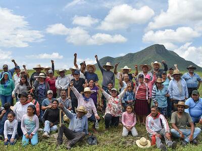 Amway contra México y la vida campesina